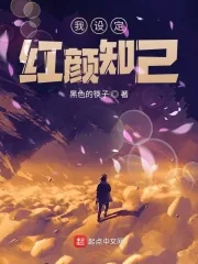 《我设定红颜知己》小说封面