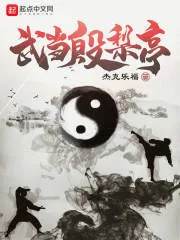 《武当殷梨亭》小说封面