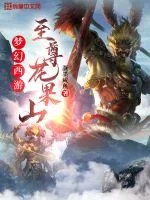 《梦幻西游：至尊花果山》小说封面