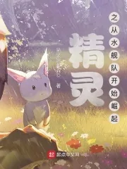 《精灵之从水舰队开始崛起》小说封面