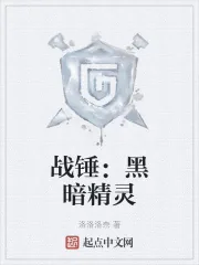 《战锤：黑暗精灵》小说封面
