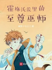 《霍格沃茨里的至尊巫师》小说封面