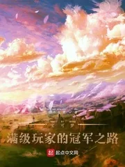 《宝可梦：满级玩家的冠军之路》小说封面