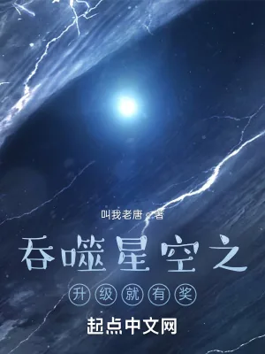 《吞噬星空之升级就有奖》小说封面