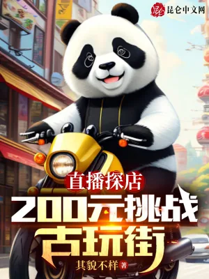 《直播探店：200元挑战古玩街》小说封面
