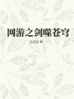 《网游之剑噬苍穹》小说封面
