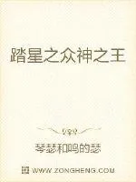 《踏星之真实的星空》小说封面