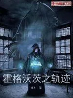 《霍格沃茨之轨迹》小说封面