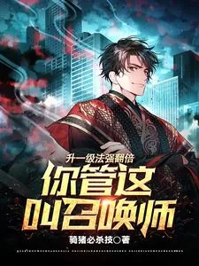 《升一级法强翻倍，你管这叫召唤？》小说封面