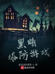 《黑暗塔防游戏》小说封面