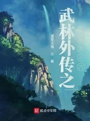 《武林外传之名捕燕小六》小说封面