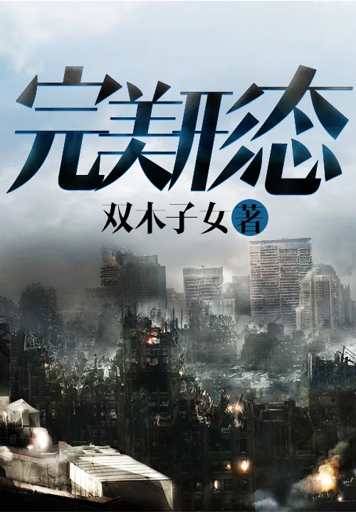 《完美形态》小说封面