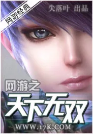 《网游之天下无双》小说封面