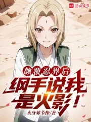 《火影:扮演反派的我成了人气角色》小说封面