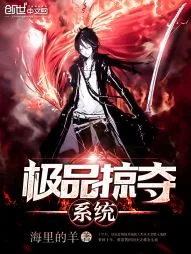 《极品掠夺系统》小说封面