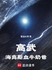 《高武：海克斯血牛奶爸》小说封面