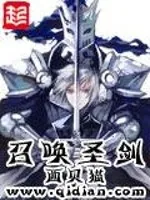 《召唤圣剑》小说封面