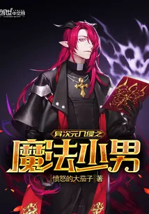《异次元入侵之魔法少男》小说封面