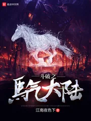 《斗破之马气大陆》小说封面