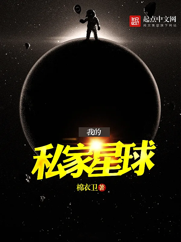 《我的私家星球》小说封面