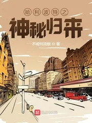 《霍格沃茨之神秘归来》小说封面