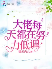 《大佬每天都在努力低调》小说封面