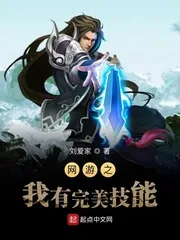 《网游之我有完美技能》小说封面