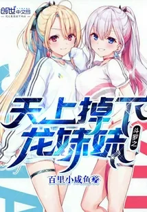 《斗罗之天上掉下龙妹妹》小说封面