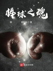 《棒球之魂》小说封面