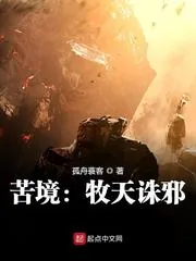 《苦境：牧天诛邪》小说封面
