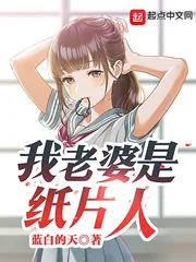 《我老婆是纸片人》小说封面