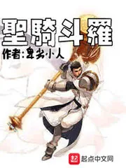 《圣骑斗罗》小说封面