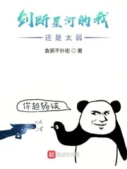 《剑断星河的我还是太弱》小说封面