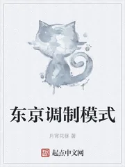 《东京调制模式》小说封面