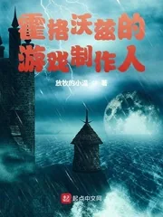 《霍格沃兹的游戏制作人》小说封面