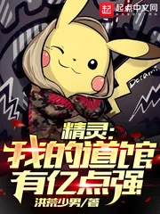 《精灵：我的道馆有亿点强》小说封面