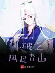 《斗破之风起青山》小说封面