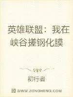《英雄联盟：我在峡谷搓钢化膜》小说封面