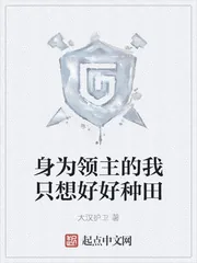 《身为领主的我只想好好种田》小说封面