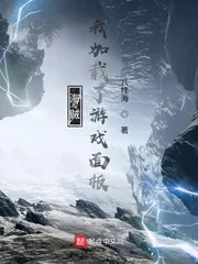 《海贼：我加载了游戏面板》小说封面