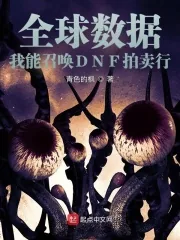 《全球数据：我能召唤DNF拍卖行》小说封面