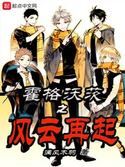 《霍格沃茨之风云再起》小说封面