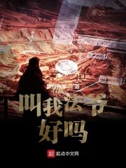 《请叫我法爷》小说封面