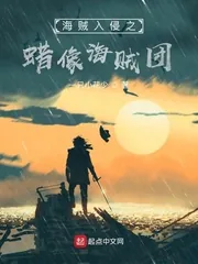 《海贼入侵之蜡像海贼团》小说封面