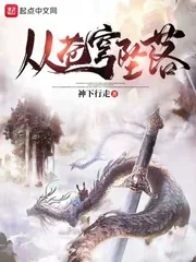 《从苍穹坠落》小说封面