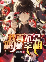 《我真不是恶魔宰相》小说封面
