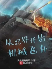 《从忍界开始机械飞升》小说封面