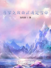 《斗罗之我的武魂是雪帝》小说封面