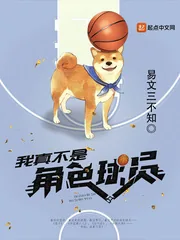 《我真不是角色球员》小说封面