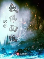 《我的数据面板》小说封面